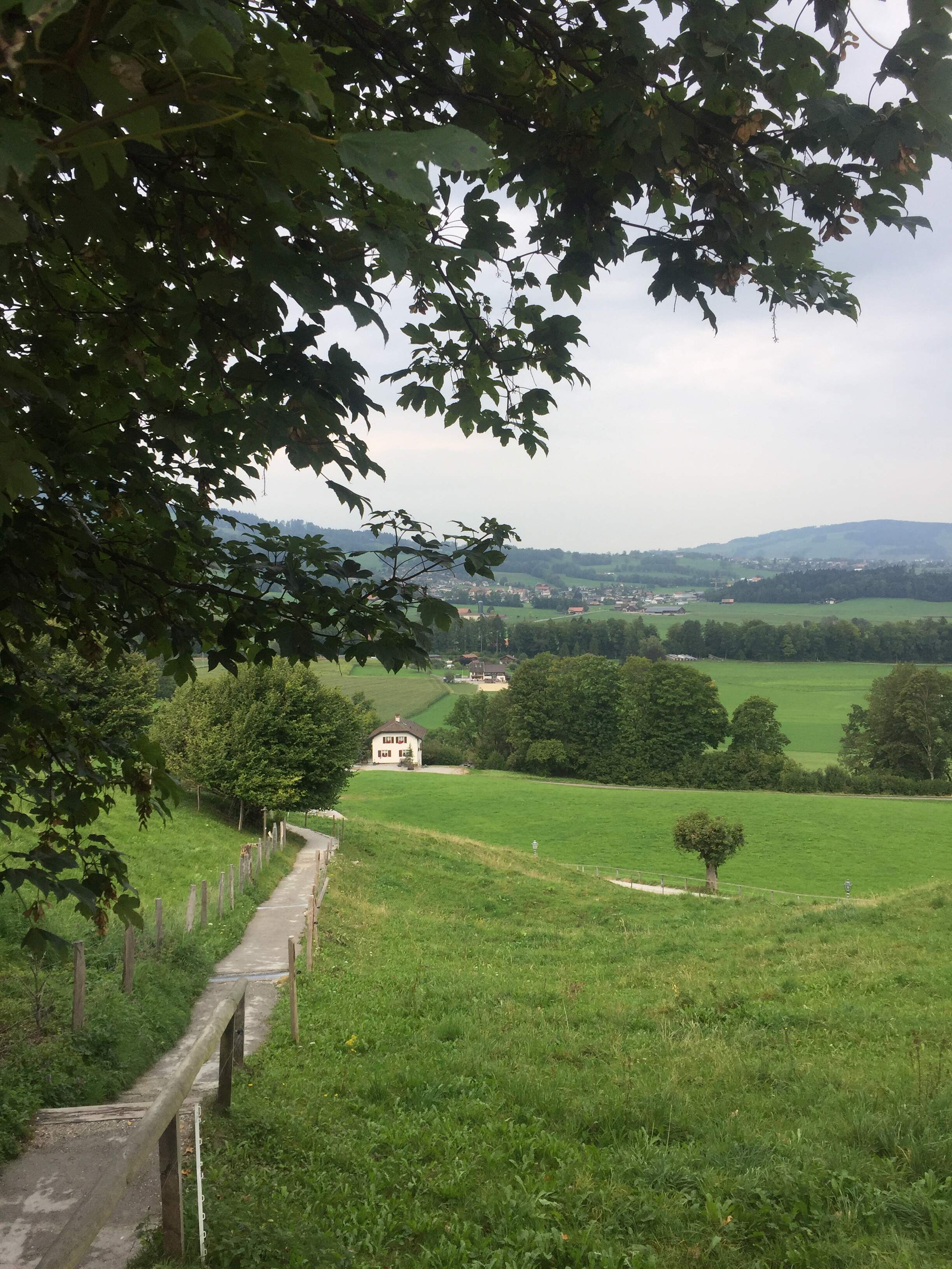 Campagne Gruyère