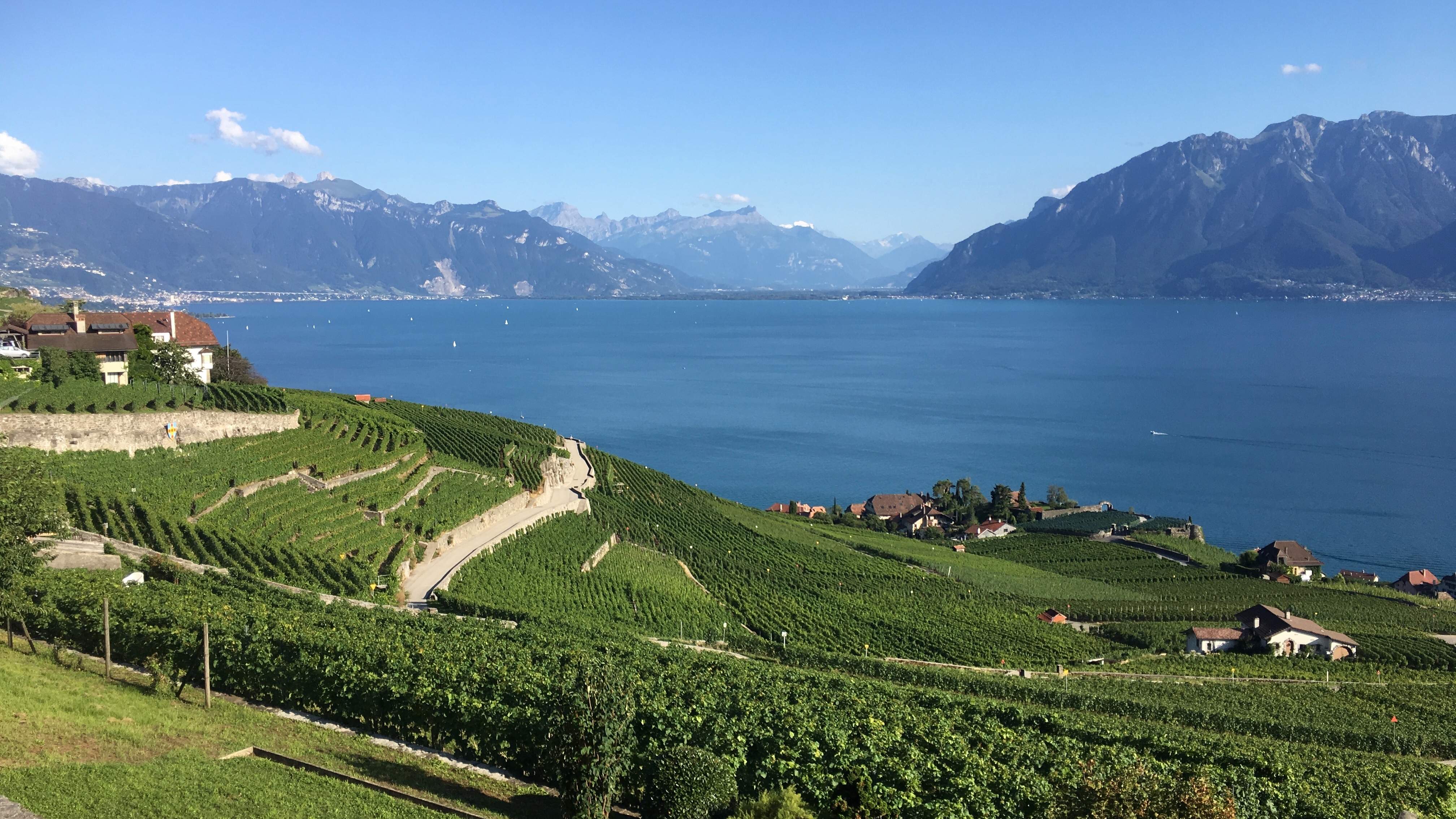 Lac Léman