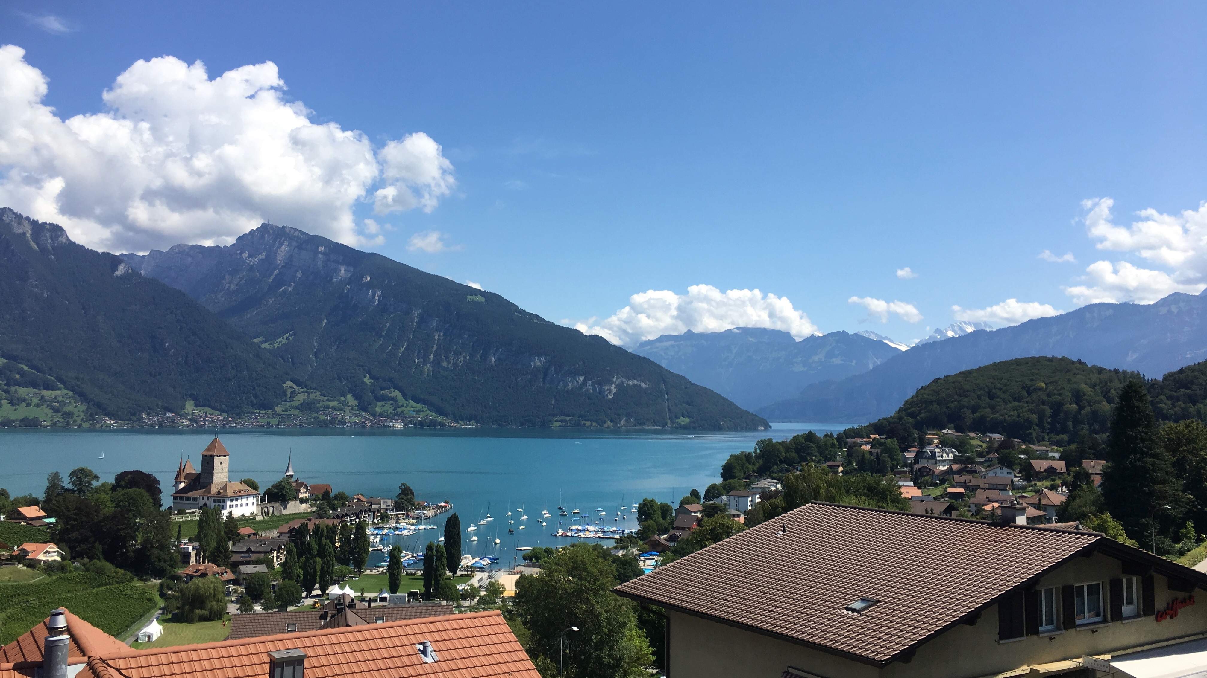Panorama Lac de Thun